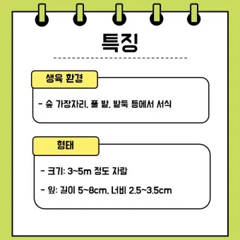 초저조도 식물 추천 빛부족집 관리요령 물주기간격 식물등활용_5