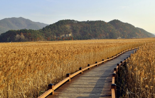 11월 단풍축제 가볼만한곳 BEST 10