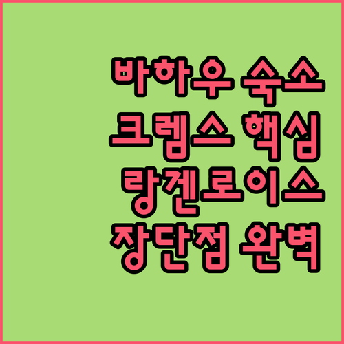 바하우 계곡 여행 크렘스 랑겐로이스 ..