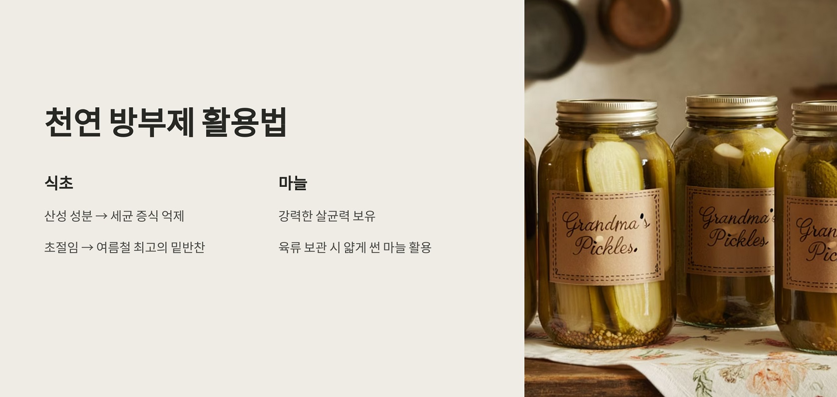 천연 방부제 활용법