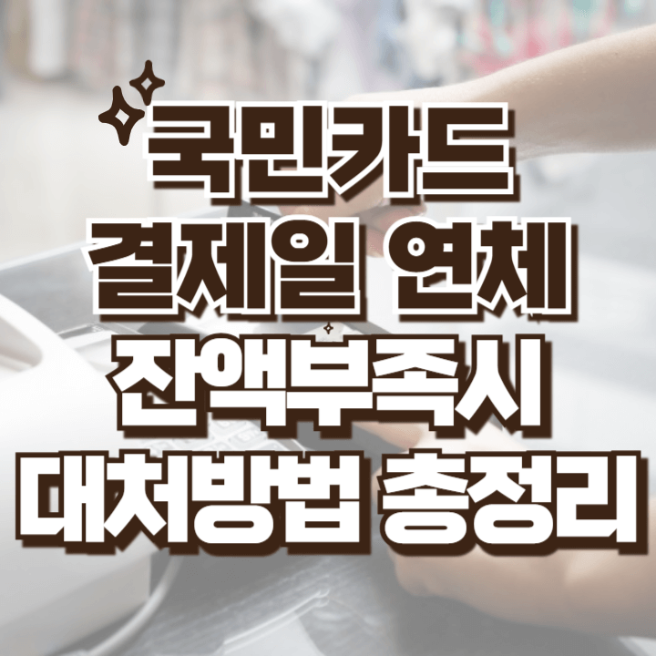 국민카드 결제일 연체 잔액부족시 대처방법 총정리