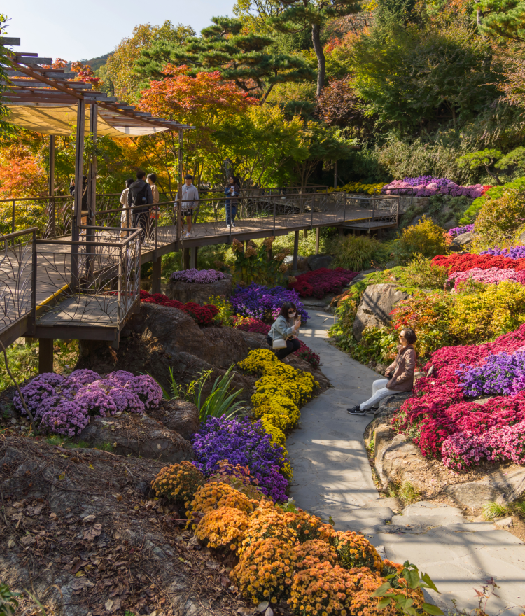 화담숲 모노레일 예약방법, 입장료