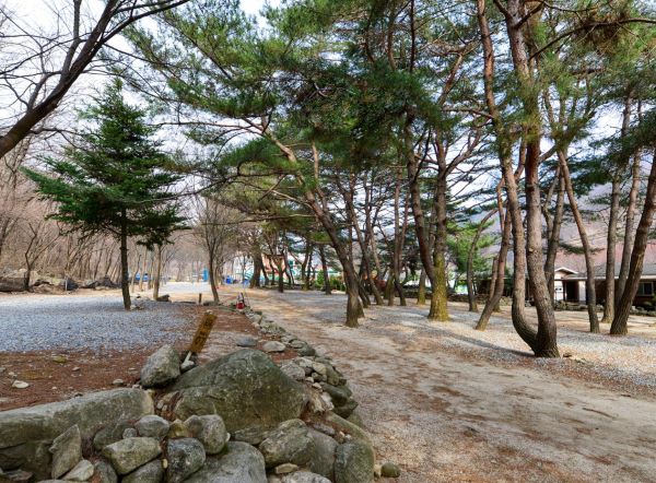 캠핑장_전경