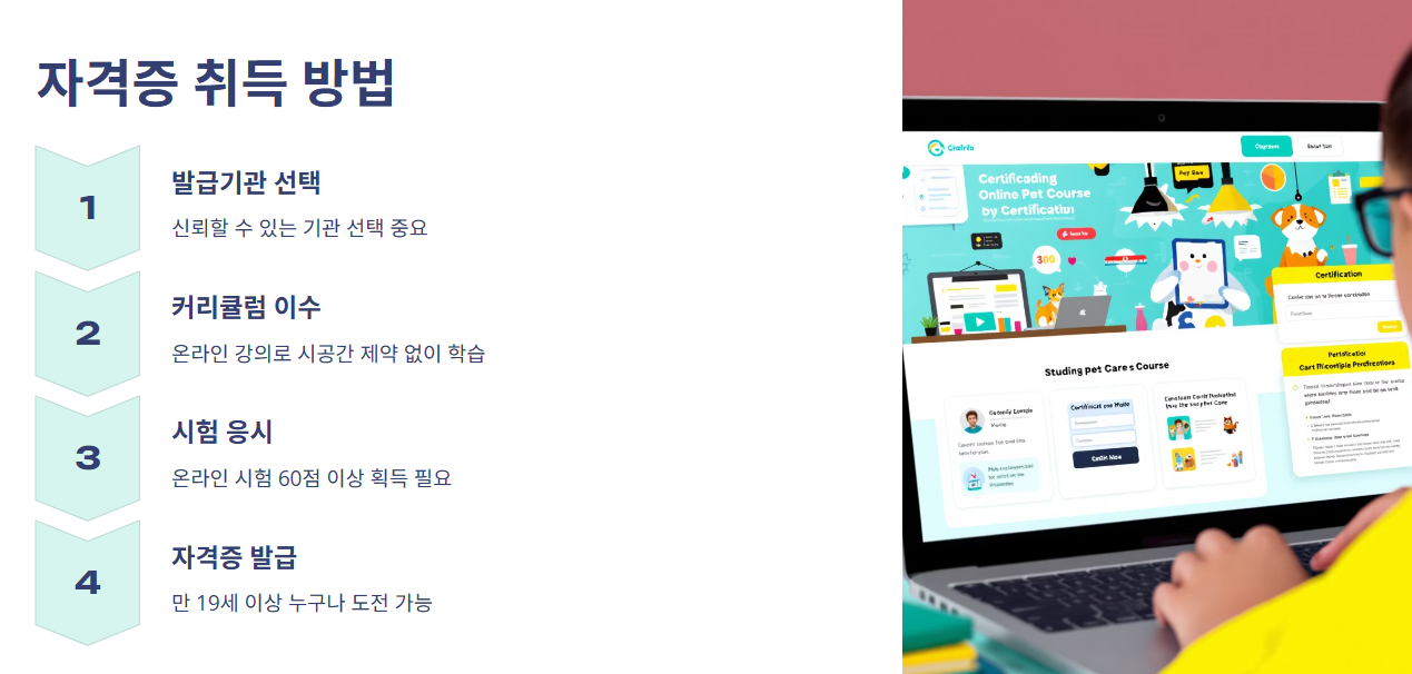 자격증 취득 방법