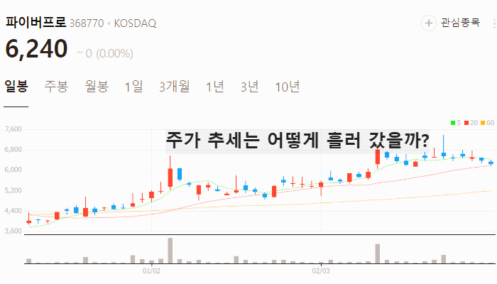 양자컴퓨터 관련주 대장주 테마주 TOP7 : 오셀롯