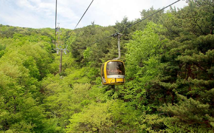 팔공산 케이블카