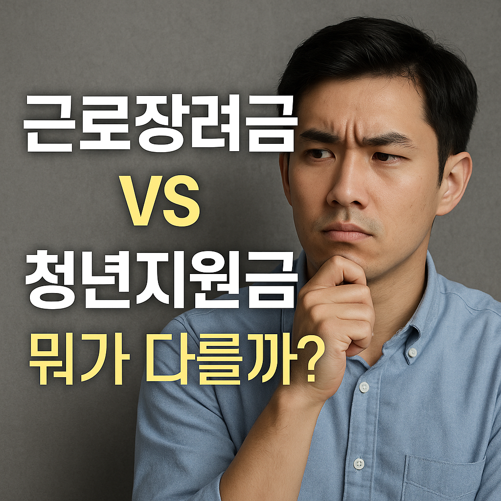 근로장려금 vs 청년지원금 완전 비교