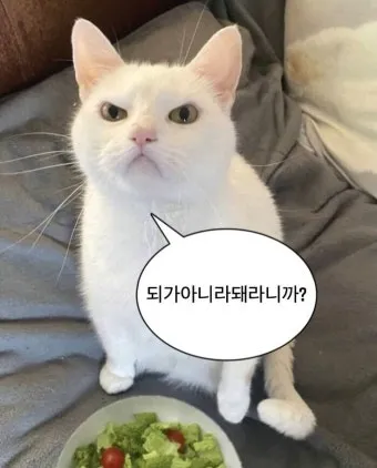 보내 보네 헷갈리는 맞춤법 올바른 표기 완벽 정리_24