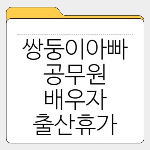 쌍둥이 아빠 공무원 배우자 출산휴가