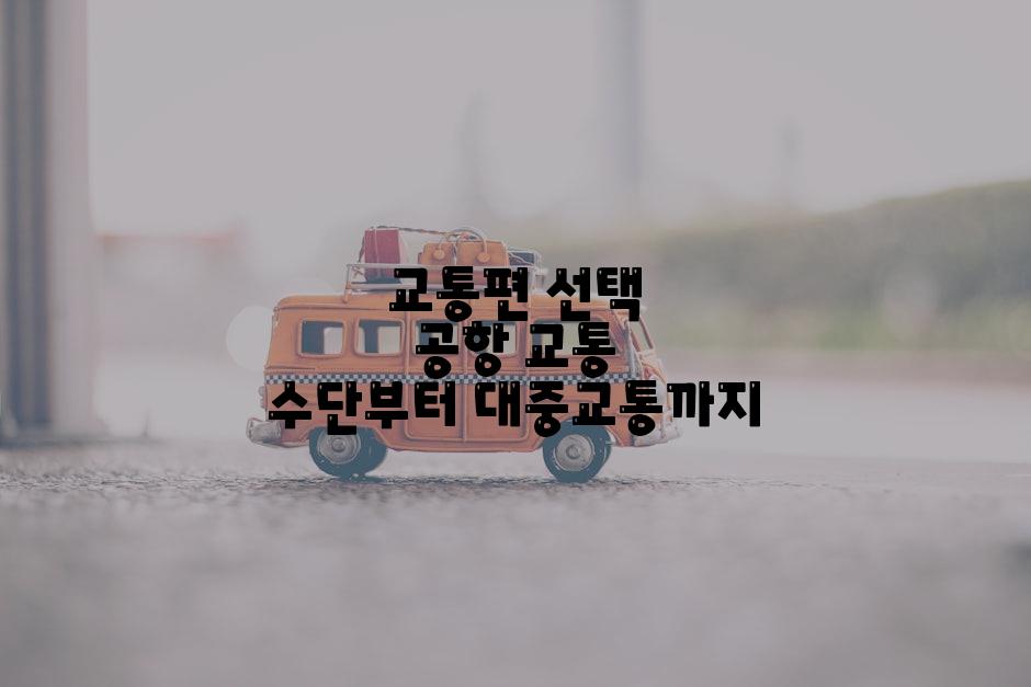 교통편 선택 공항 교통 수단부터 대중교통까지