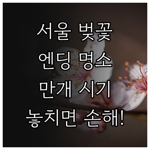 서울 벚꽃 엔딩 늦게 피는 명소와 구..