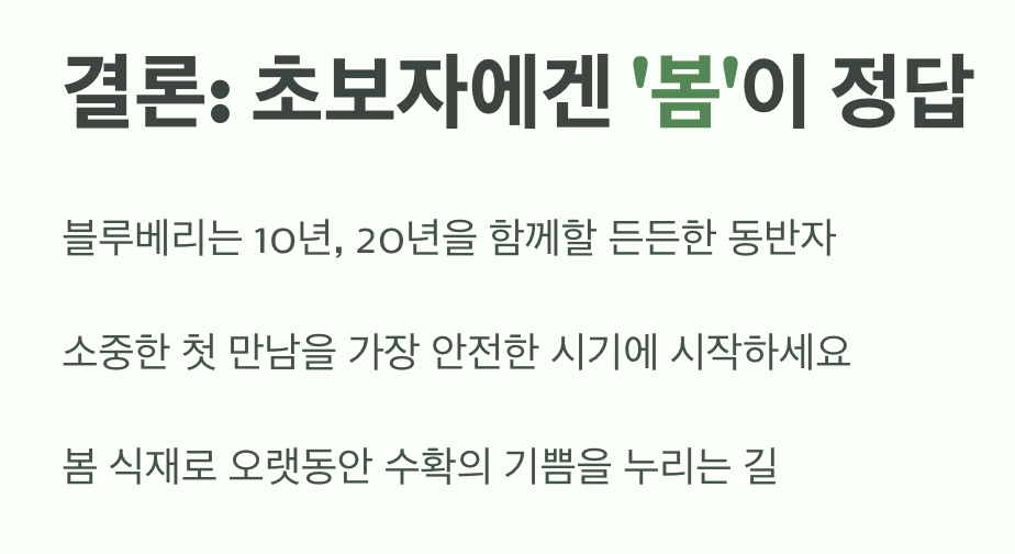 결론: 초보자에겐 '봄'이 정답인 이유
