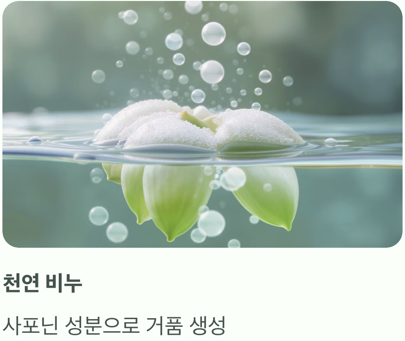 비틀린 콩깍지, 천연 비누 '열매'