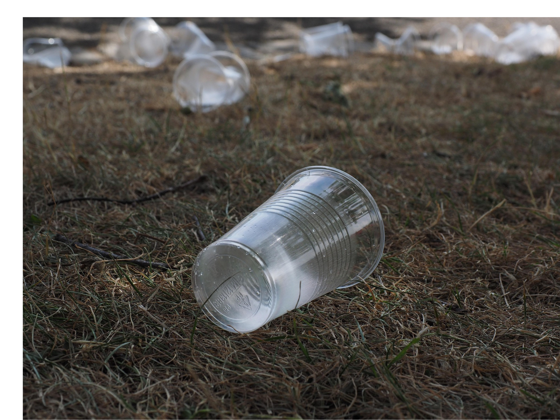 플라스틱 컵 사진