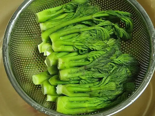 5월-제철음식-두릅