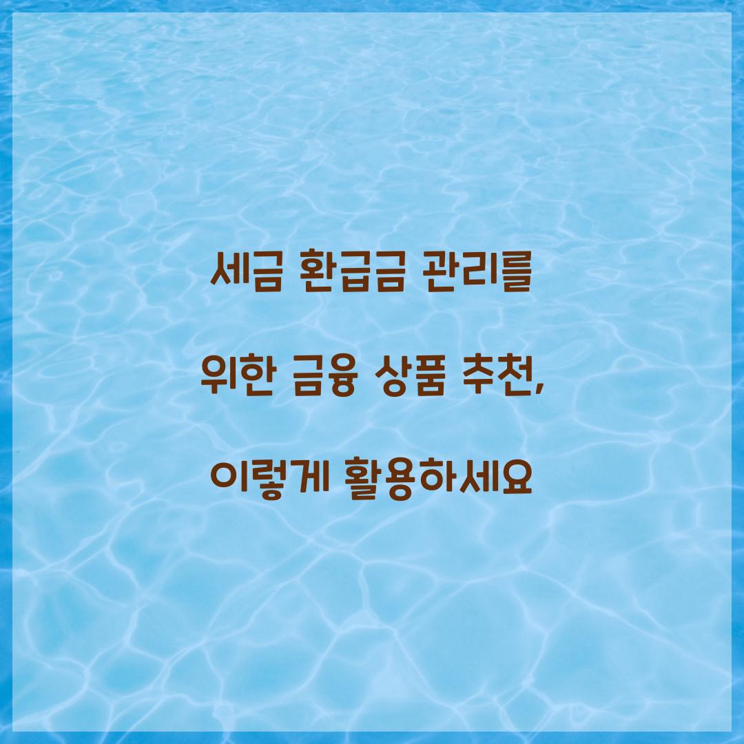 세금 환급금 관리를 위한 금융 상품 추천