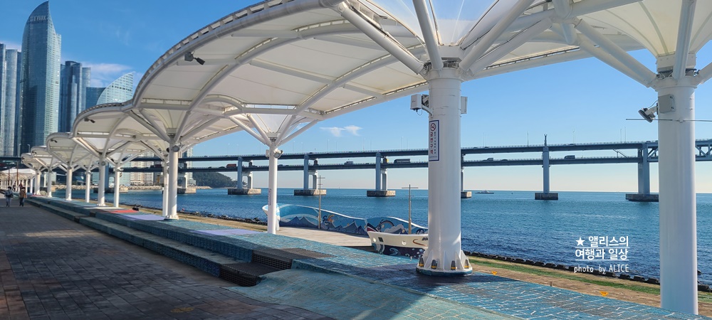 마스크벗고 봄과 여름 부산 야외 나들이 추천 BEST 10