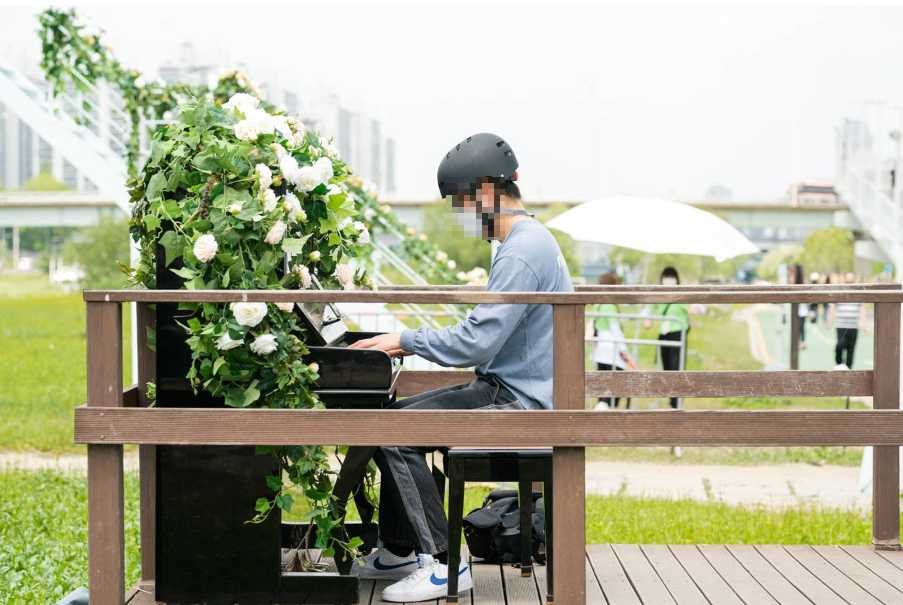 서울 중랑 장미공원