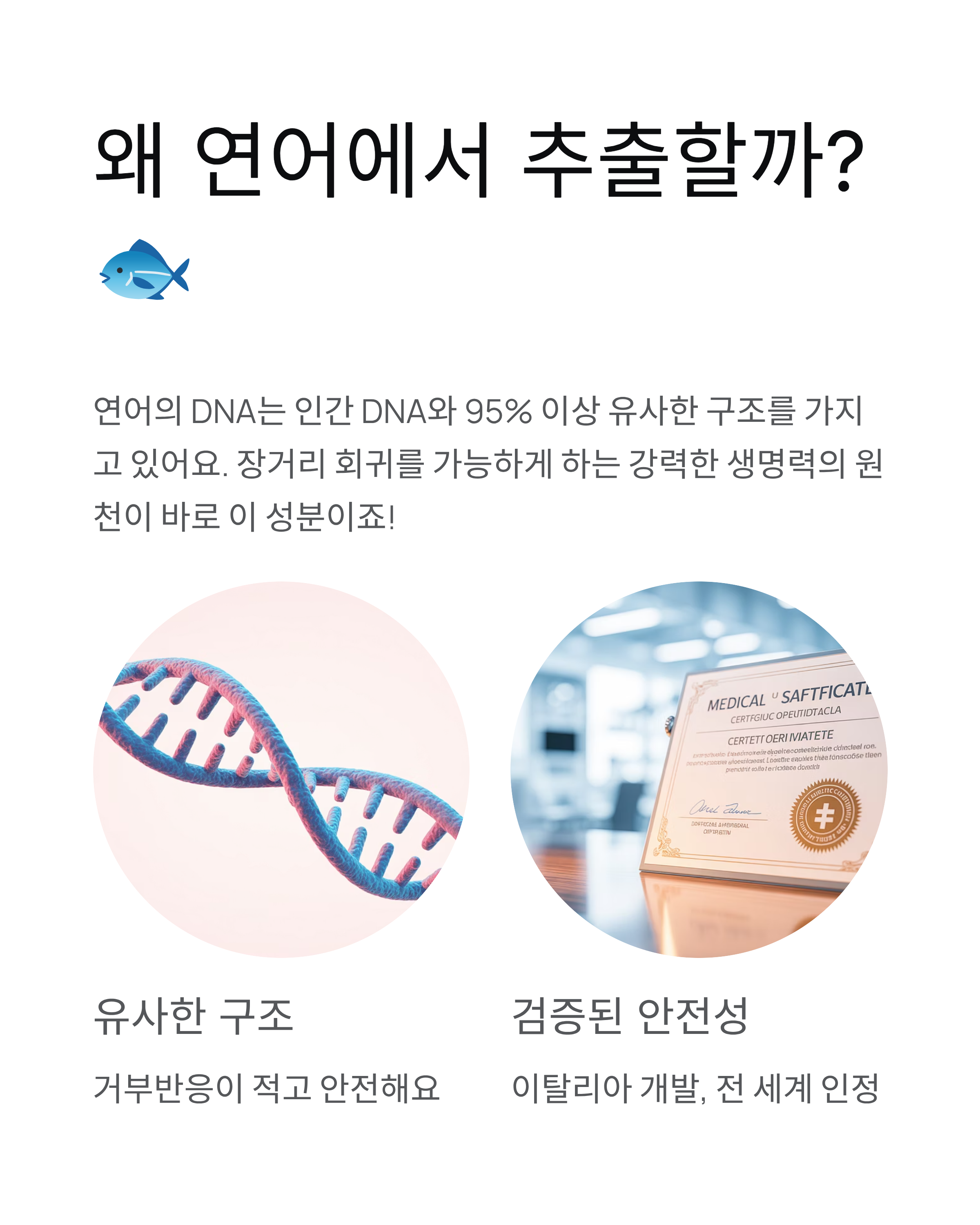 PDRN뜻 - 연어주사 성분과 효과 완벽 정리! 💉