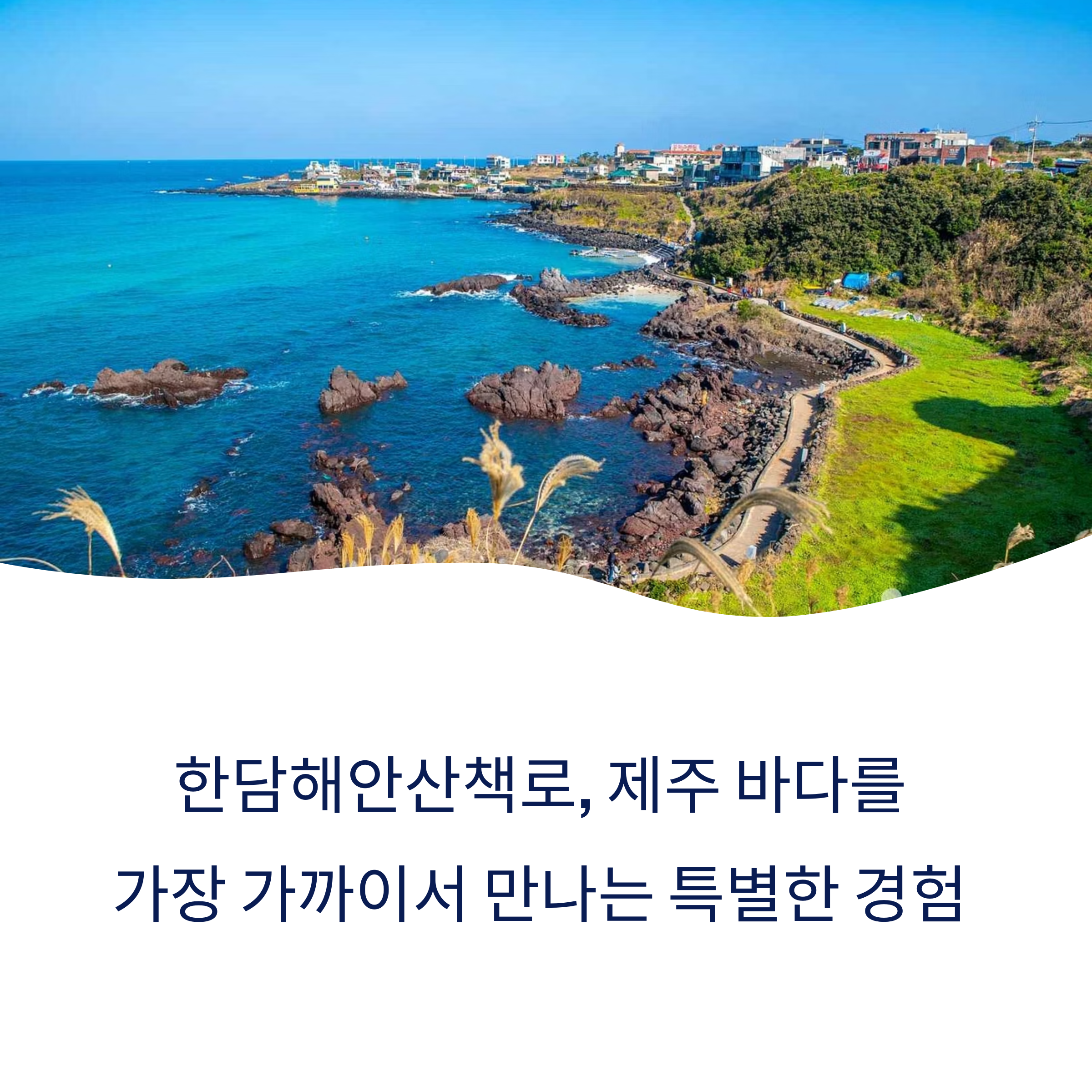 제주의 바다를 품은 힐링 명소, 한담해안산책로 완벽 가이드