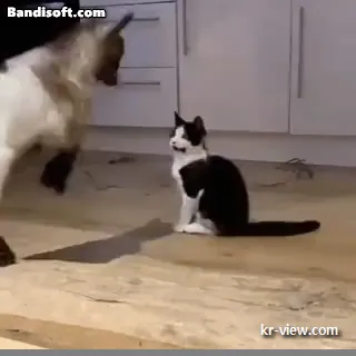 img.webp?credential=yqXZFxpELC7KVnFOS48ylbz2pIh7yKj8&expires=1767193199&allow_ip=&allow_referer=&signature=4Bar4eTpW1ErtVxCm%2BTRHnh0jho%3D