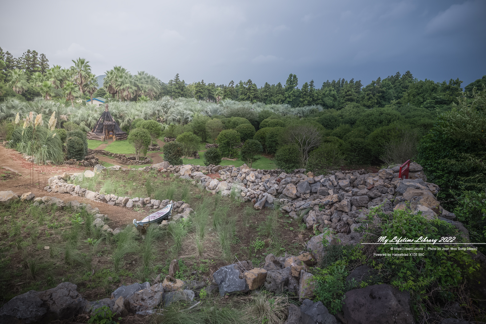 #제주 #파더스가든 #억새 #수국 #목마 #자전거 #2022제주여행