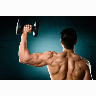 덤벨 숄더 프레스