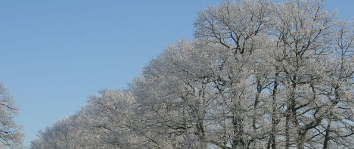 한파특보 발령기준 이미지