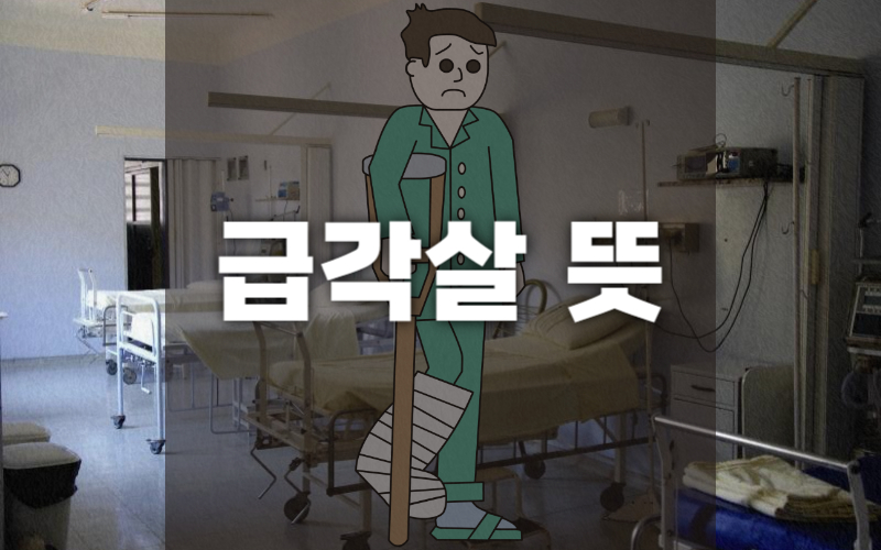 급각살 섬네일