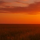 『서랍에 저녁을 넣어 두었다』 &ndash; 한강&amp;#44; 고독과 삶을 담은 첫 시집