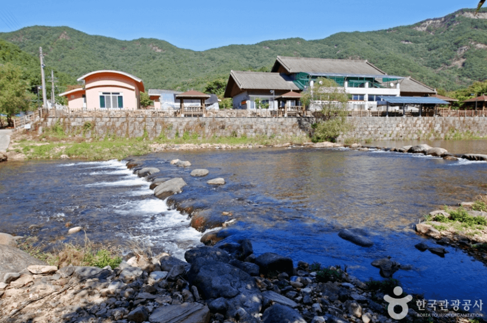 보은군 서원계곡