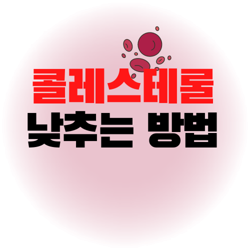 콜레스테롤