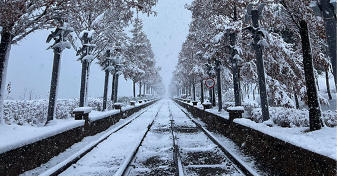 영종도 레일바이크