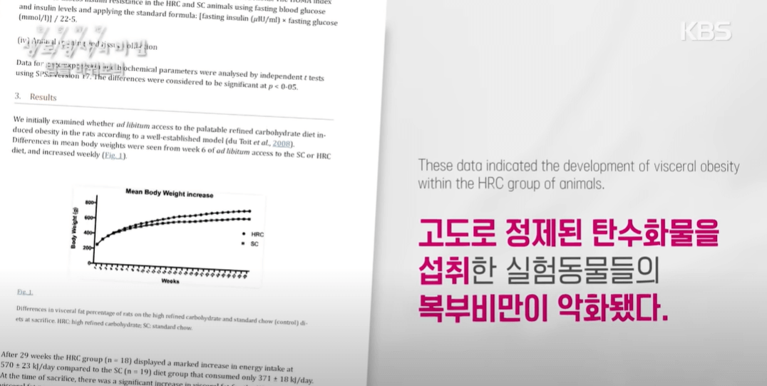 정제 탄수화물 단점