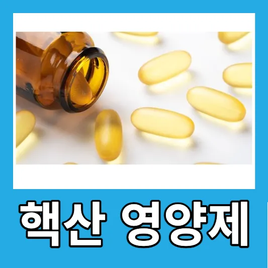 핵산 영양제 추천 핵산 효능 핵산 풍부한 음식