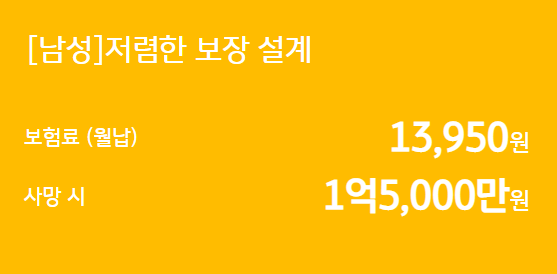 KB 착한 정기보험 더모아 예시