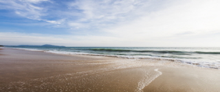 청년도약계좌 은행별 금리