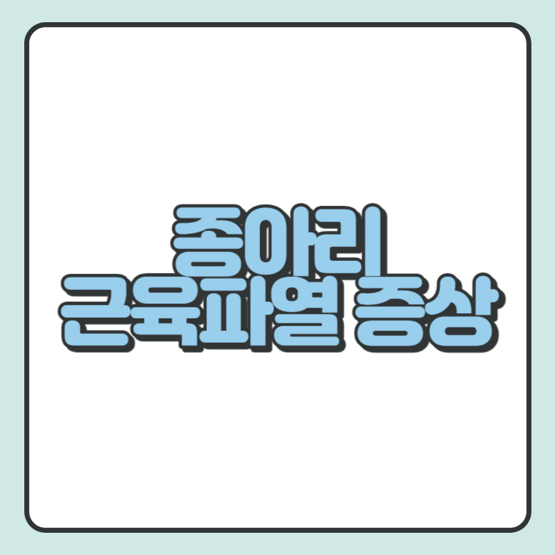 종아리 근육파열 증상