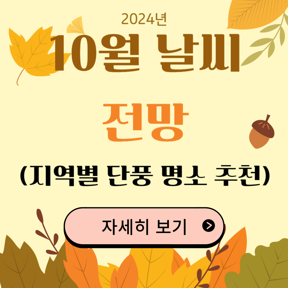 2024년 10월 날씨 전망(서울/부산/광주/대구/울산/경주/강릉/제주도)