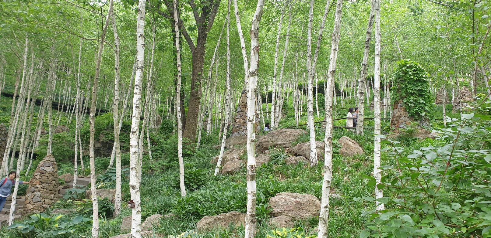 2026 수능 일정표