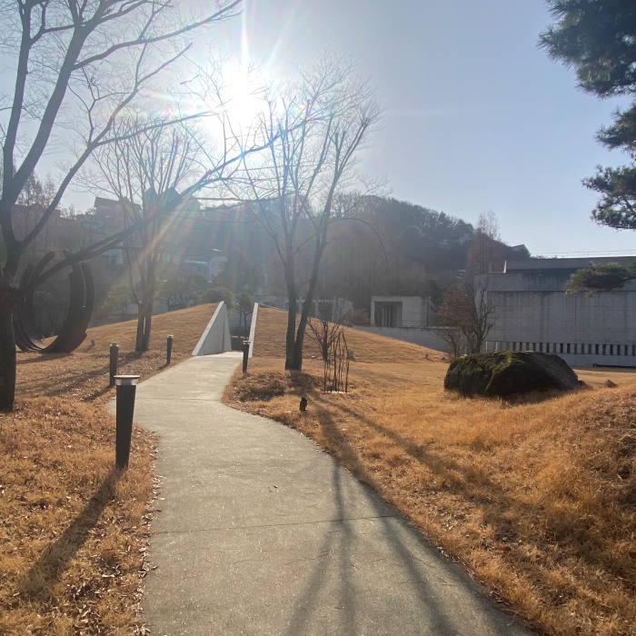 이함캠퍼스 정원에 나무와 잔디밭이 있습니다.