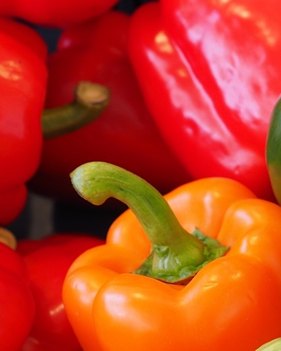 파프리카 효능 사진25