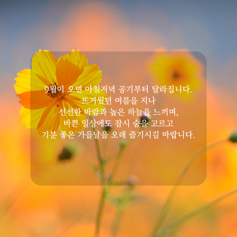 9월 가을 인사말 - 선선한 바람과 높아진 하늘