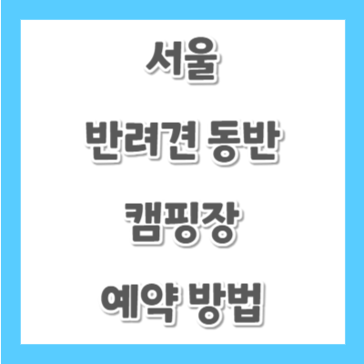 서울-반려견-동반-캠핑장-예약