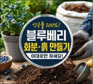 블루베리 화분심기 상토흙 만들기