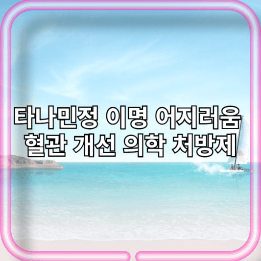 타나민정 이명 어지러움 혈관 개선 의학 처방제