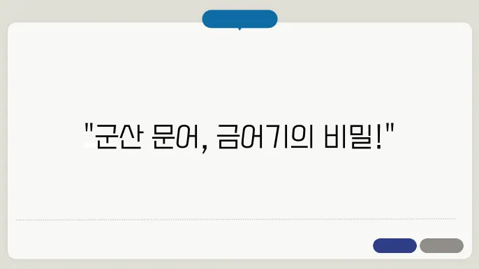 군산 문어 금어기