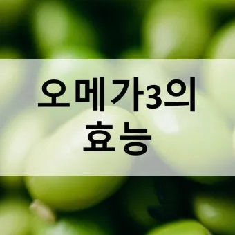 오메가3 효능 부작용 복용법으로_11