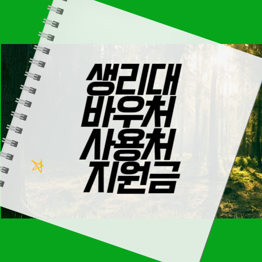 생리대 바우처 사용처 지원금