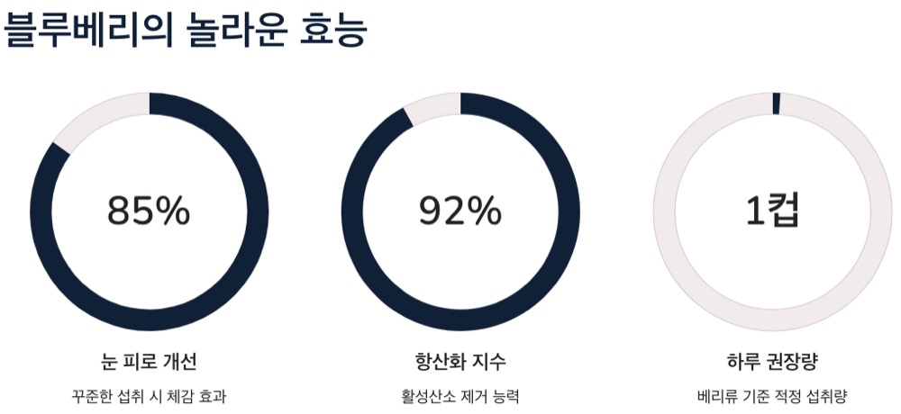 안토시아닌의 효능 블루베리